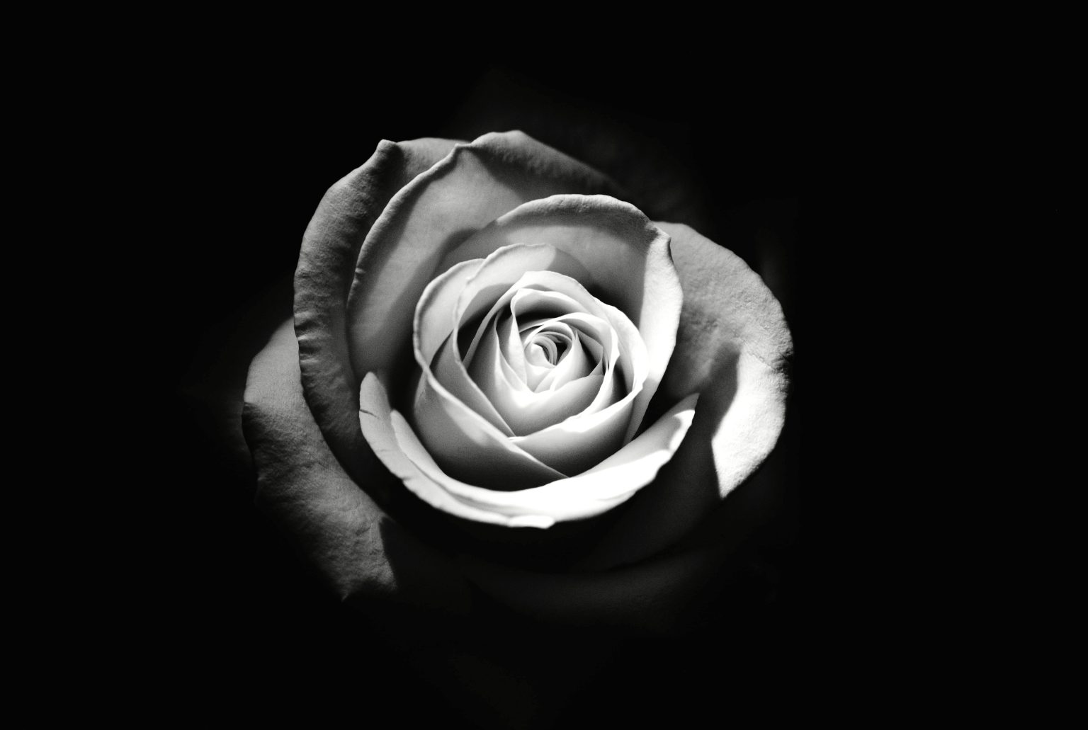 Her Majesty Queen Elizabeth II Passes At 96